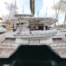 main