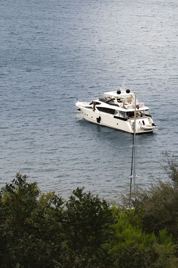 Elegant white yacht anchored in calm ocean near lush green vegetation.